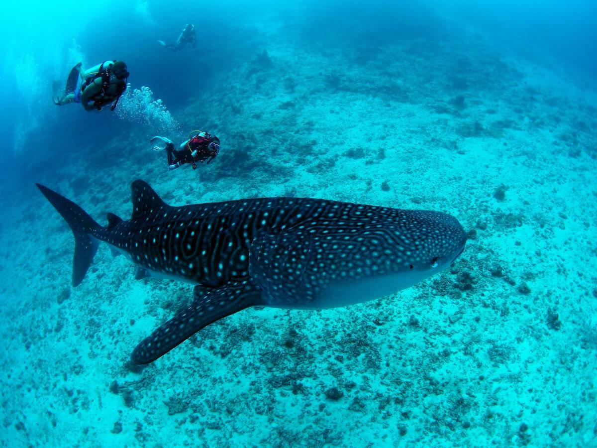 White Sand Dhigurah Dhigurah  Exterior foto