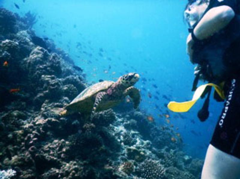 White Sand Dhigurah Dhigurah  Exterior foto